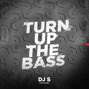 Song Cover Art. Song Tittle Turn Up The Bass.