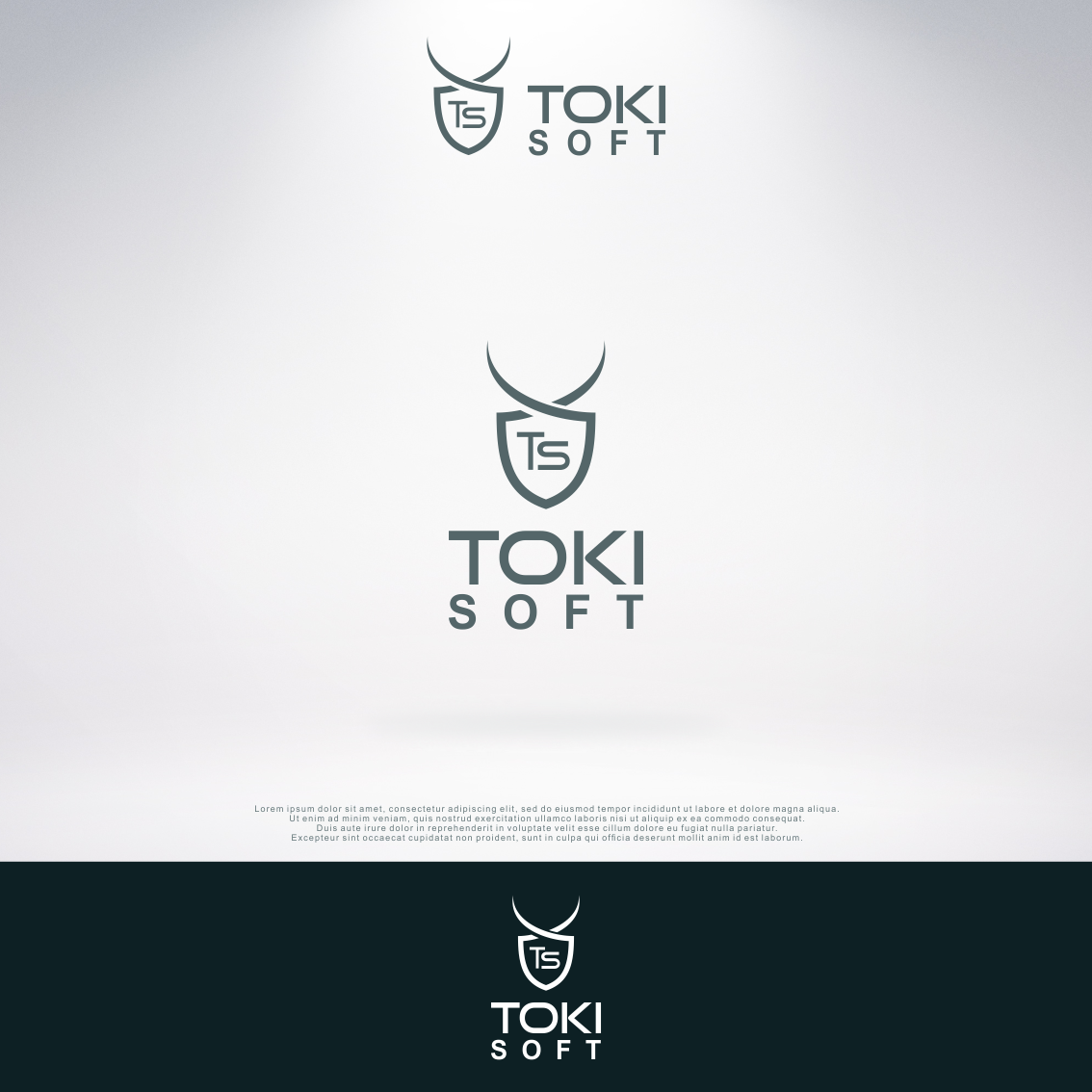 Logo Design by lewy-s for ToKi Soft | Design #13059392