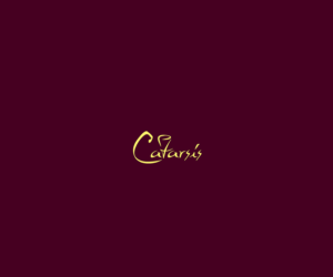 Logo Design by saulogchito for this project | Design: #13123107