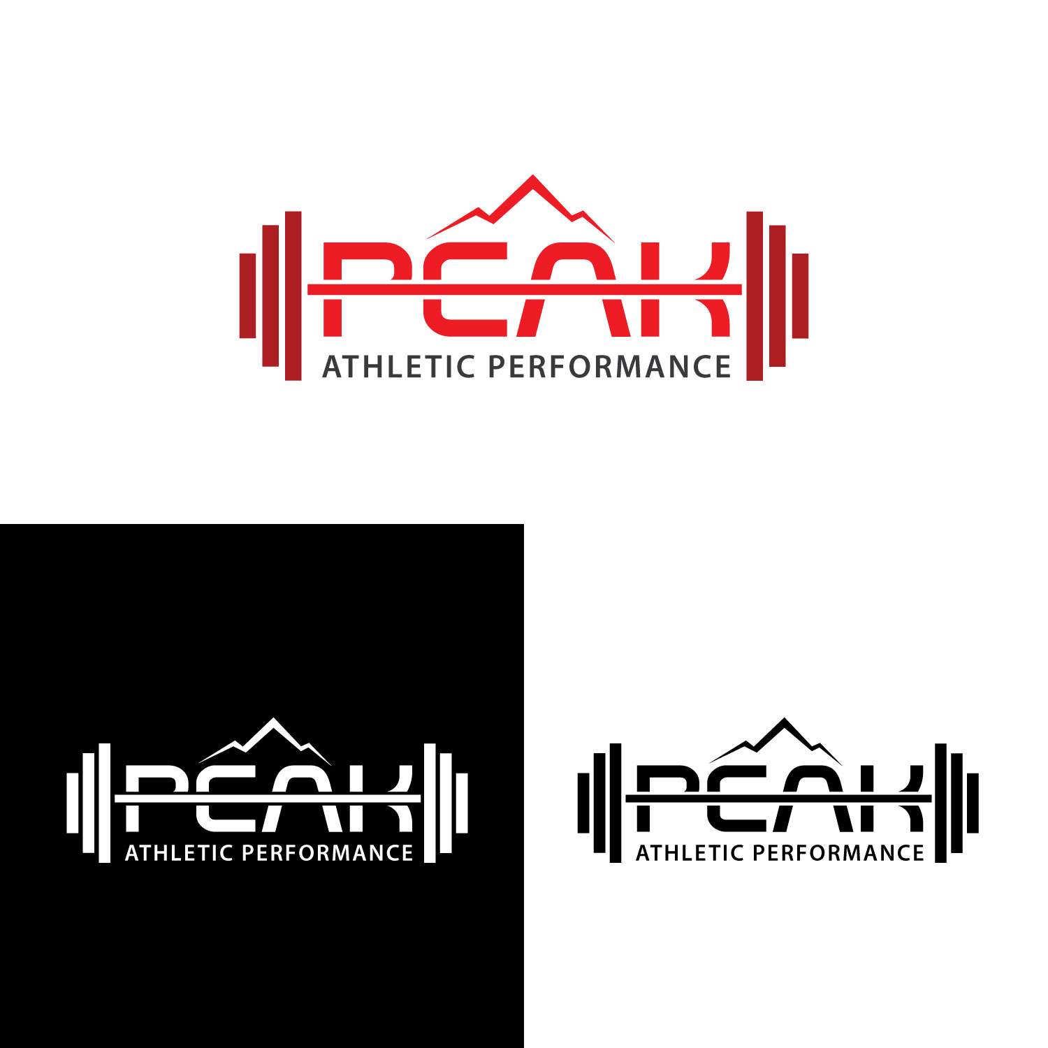 Logo Design by uk for Peak Athletic Performance | Design #13019193