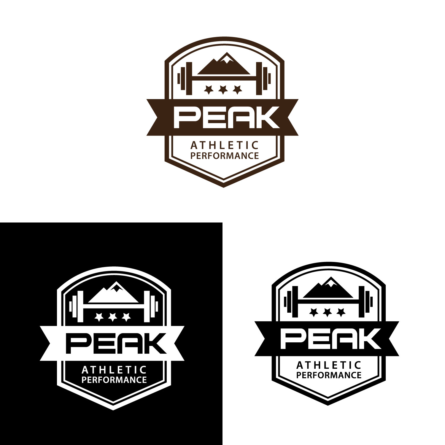 Design de Logo par uk pour Peak Athletic Performance | Design #13019206