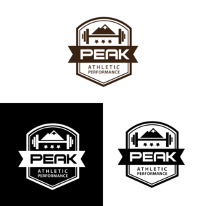 Design de Logo par uk pour Peak Athletic Performance | Design : #13019206