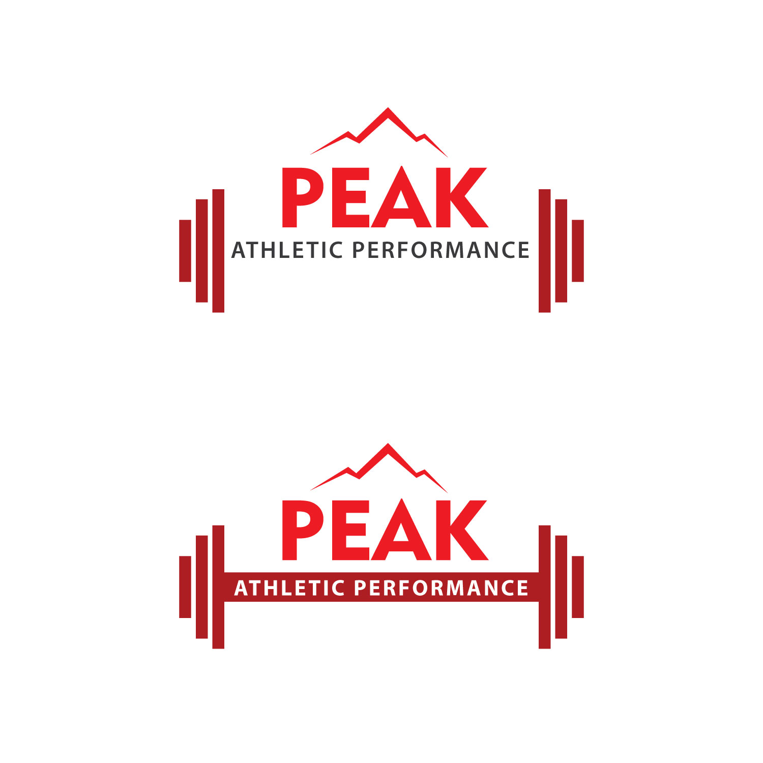 Design de Logo par uk pour Peak Athletic Performance | Design #13026025