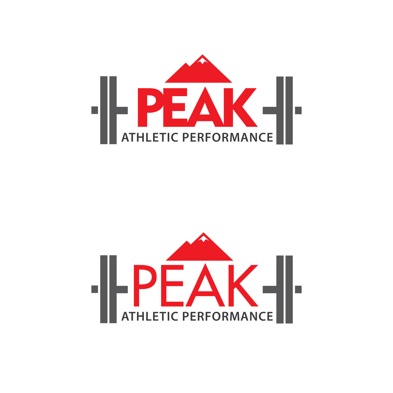 Logo Design by uk for Peak Athletic Performance | Design #13026026