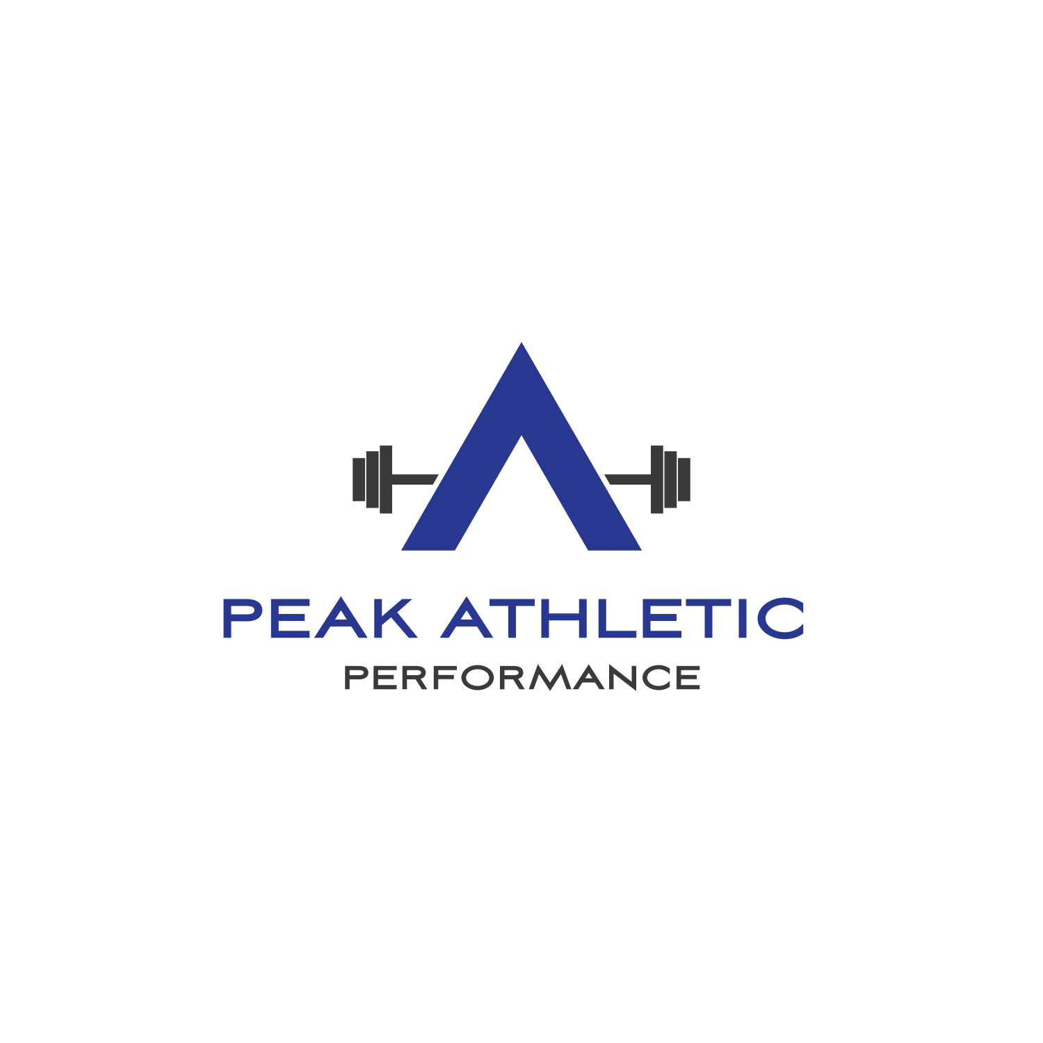 Logo Design by Ellie Afonso for Peak Athletic Performance | Design #13078162