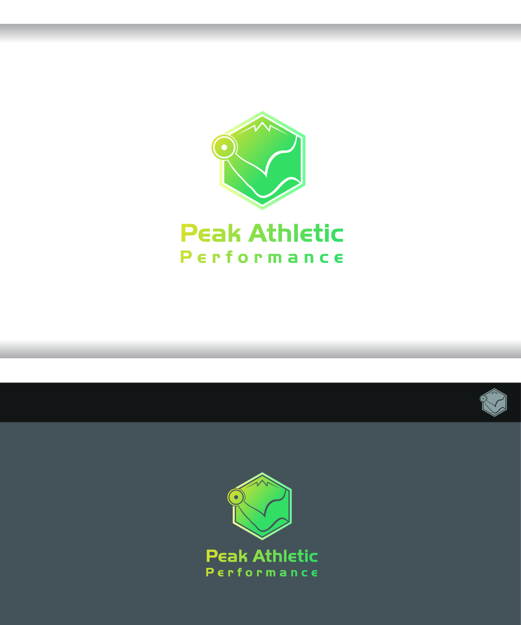 Design de Logo par Guart pour Peak Athletic Performance | Design #13029529