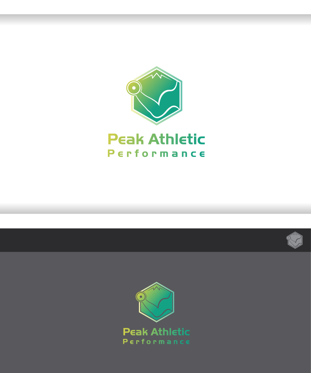 Logo Design by Guart for Peak Athletic Performance | Design #13029634