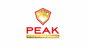Design de Logo par pa2pat pour Peak Athletic Performance | Design : #13012949