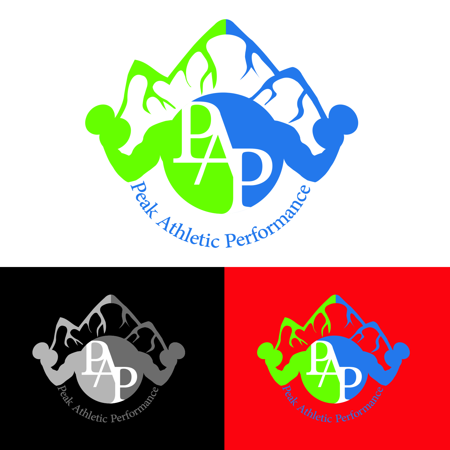 Design de Logo par Abdulrahman W. Albaker pour Peak Athletic Performance | Design #13022078