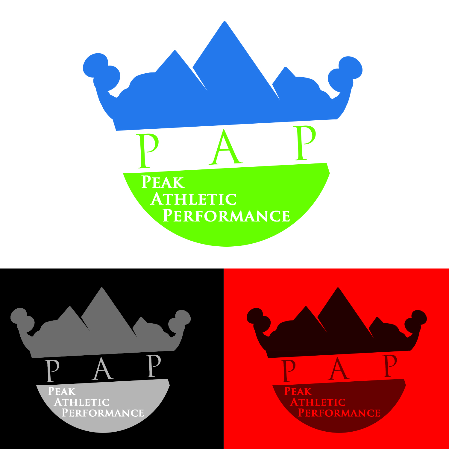 Design de Logo par Abdulrahman W. Albaker pour Peak Athletic Performance | Design #13030224