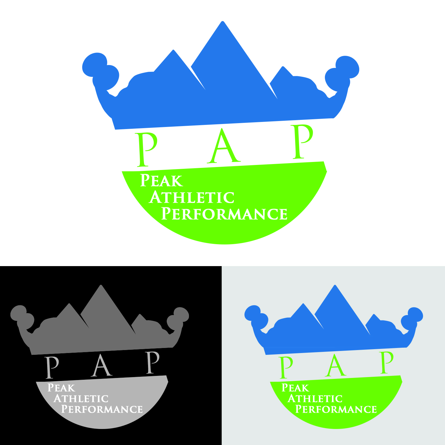 Diseño de Logo por Abdulrahman W. Albaker para Peak Athletic Performance | Diseño #13030401