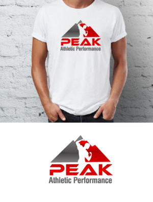 Design de Logo par Turn Digital pour Peak Athletic Performance | Design : #13024947