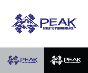 Logo Design by prodesigns99 for Peak Athletic Performance | Design #13043247