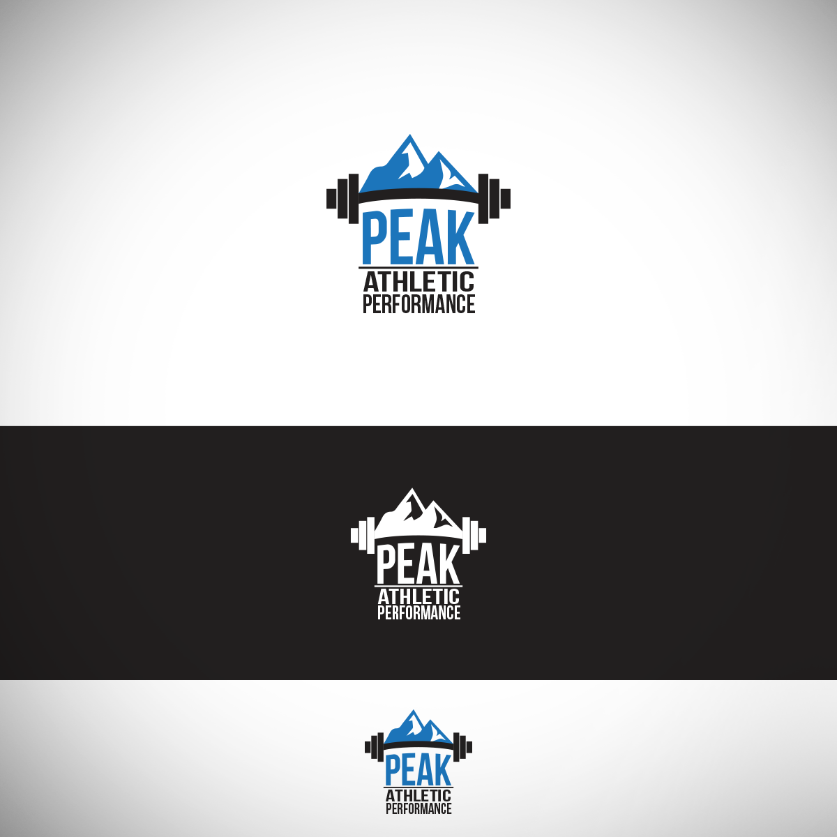 Logo Design by April Padua for Peak Athletic Performance | Design #13022573