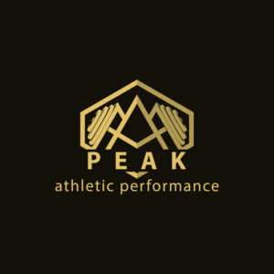 Logo Design by Sangapati