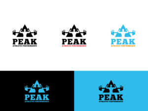 Design de Logo par Slant Line Media pour Peak Athletic Performance | Design : #13016039