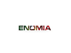 Logo-Design von esolztech für ivinum, unipessoal Lda | Design: #13162992