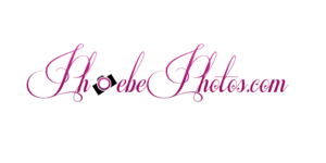 Logo Design by bvgraphic1