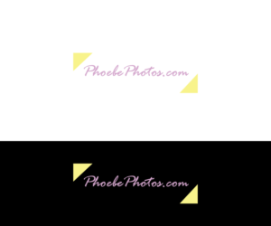 Design de Logo par hollydoll12345 pour ce projet | Design : #13018681
