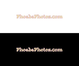 Design de Logo par MBox Designs pour ce projet | Design : #13078664