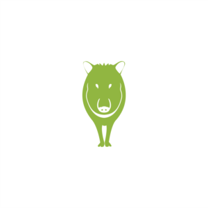 Logo Design by Leo Peçanha