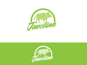 Logo Design by AnjelsS for this project | Design: #13690398
