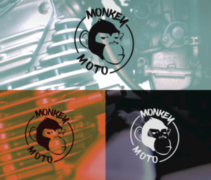 Logo Design by Studio 17