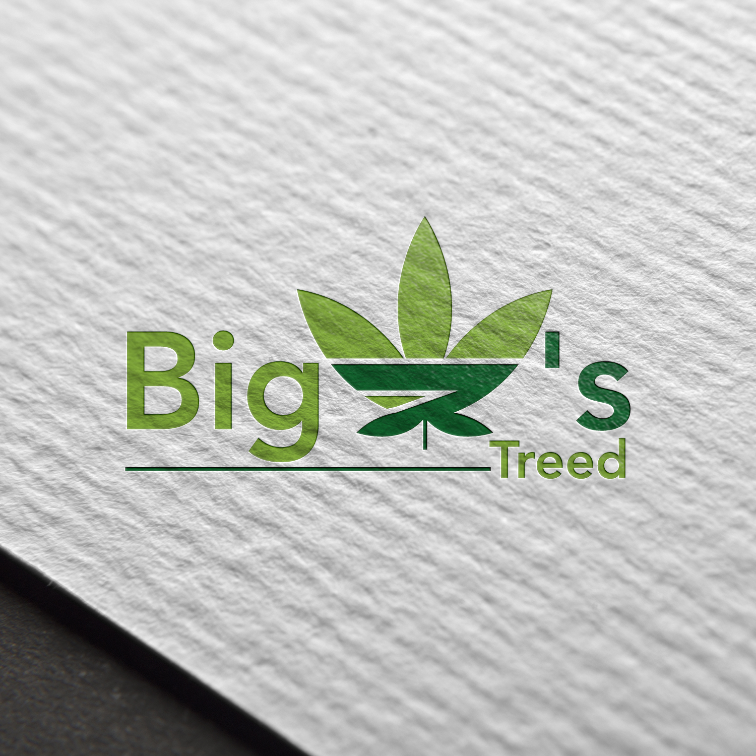 Logo Design by Next Screen Infotech for Big Z's Trees | Design #13018370