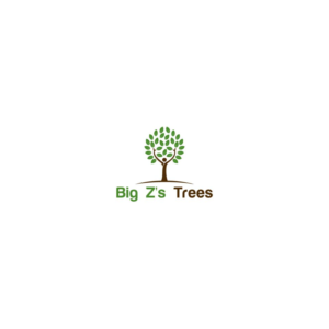 Logo Design by Zillionlogos