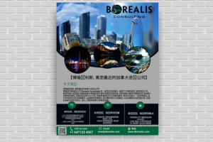 Flyer Design by Kowzi for this project | Design: #13041819