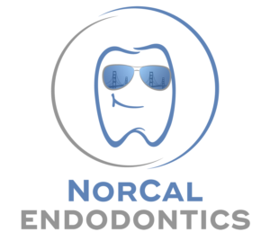 Logo Design by selador.si