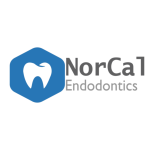 Logo Design by Art Monkey