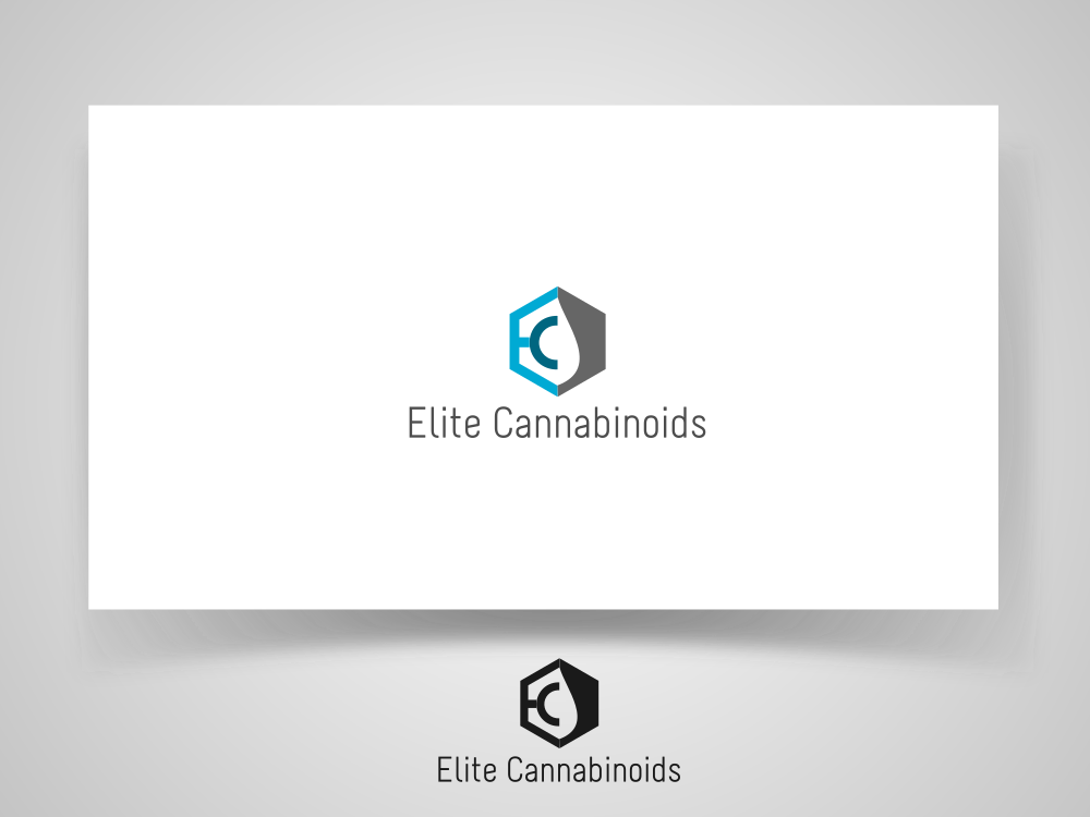 Logo Design by Mirela78 for this project | Design #13285983