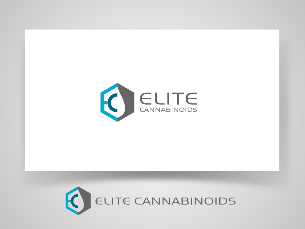 Logo Design by Mirela78 for this project | Design #13288546