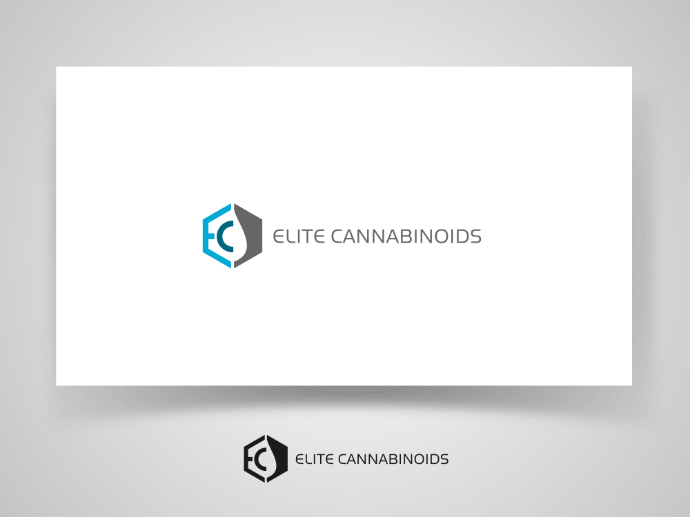 Logo Design by Mirela78 for this project | Design #13360386