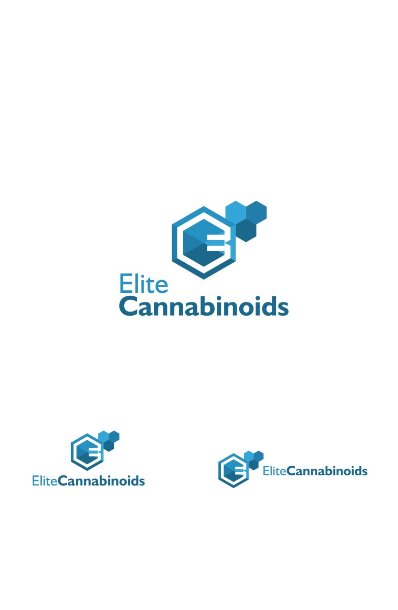 Logo Design by alok bhopatkar for this project | Design #13326427