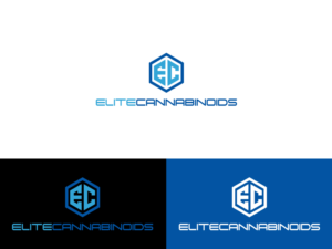 Logo-Design von Slant Line Media für dieses Projekt | Design: #13226506