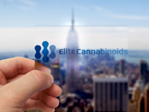 Logo Design by azpanna desidn for this project | Design: #13353140