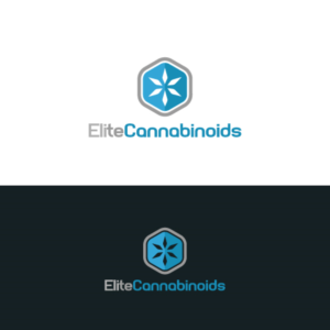 Logo Design by @vorbys for this project | Design: #13352359