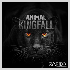 CD Cover Design by Rafido