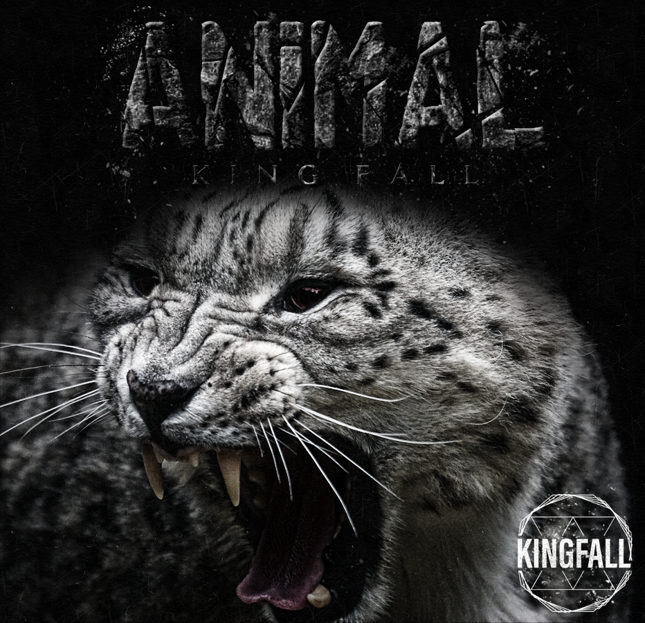 Diseño de Portada de CD por wisteria.x para este proyecto | Diseño #13110349