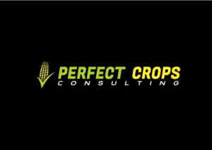 Logo Design by bragantinoc
