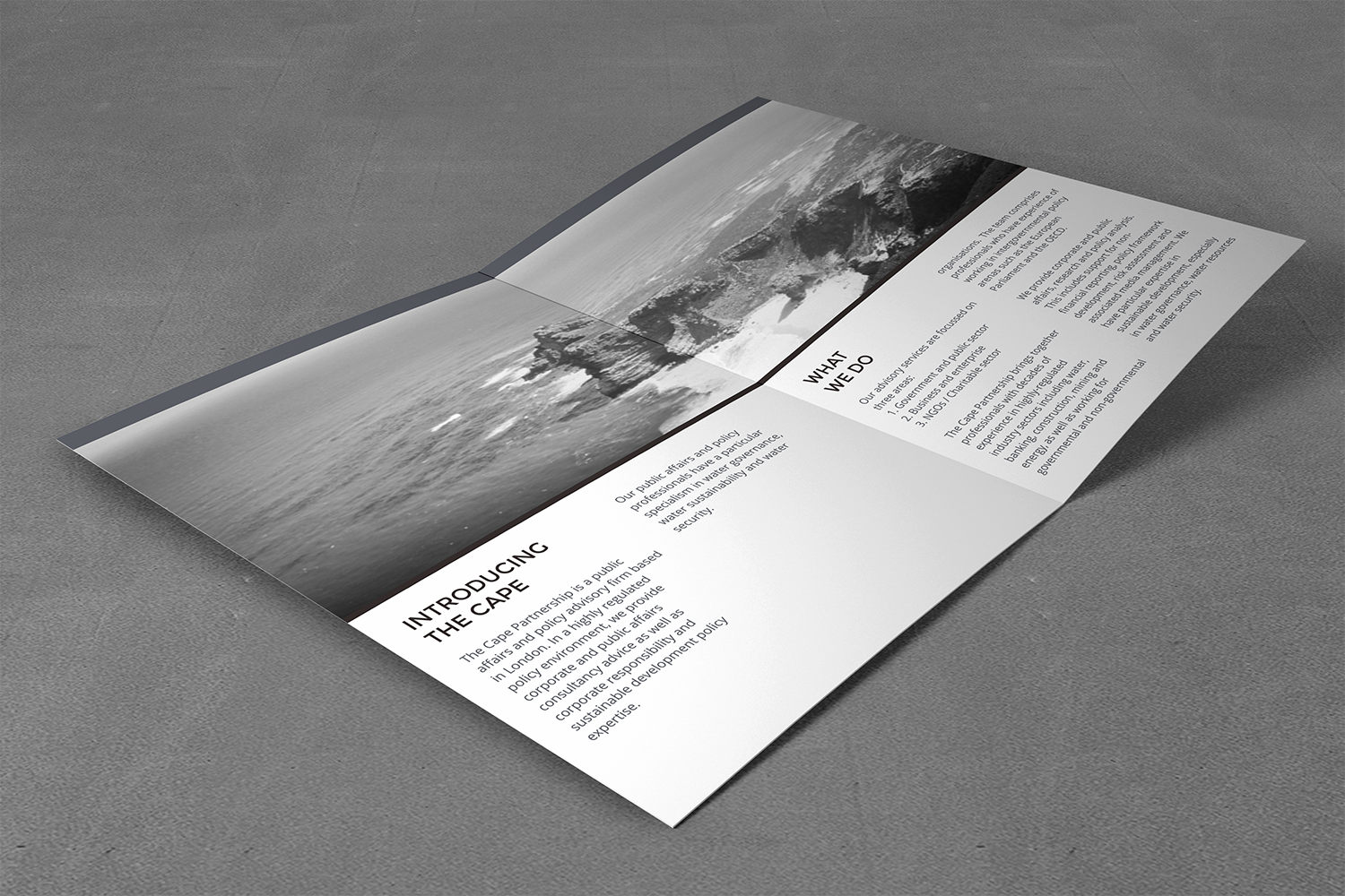Brochure Design by barinix for The Cape Partnership | Design #13058600