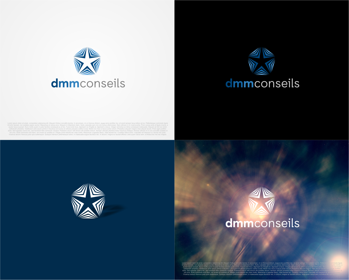 Logo Design by artswolf for dmm conseils | Design #13077762