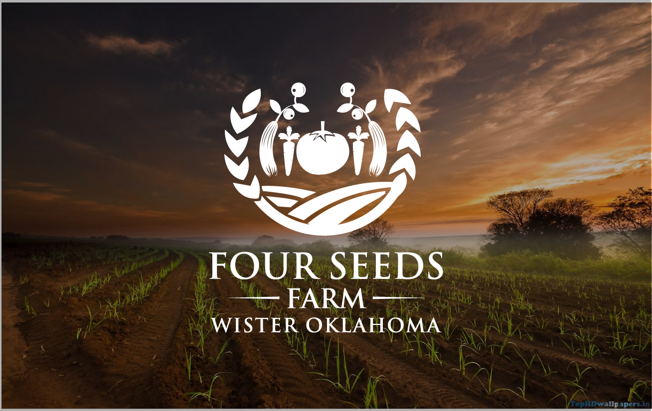 Logo Design by Turn Digital for this project | Design #13167084