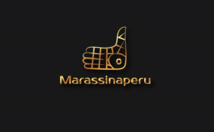 Logo Design by @gus for this project | Design: #13050590