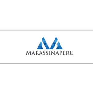 Logo Design by Tere G artwork for this project | Design: #13042207