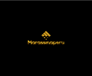 Logo Design by Click Designer for this project | Design: #13323398