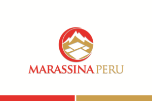 Logo Design by Turn Digital for this project | Design: #13056451