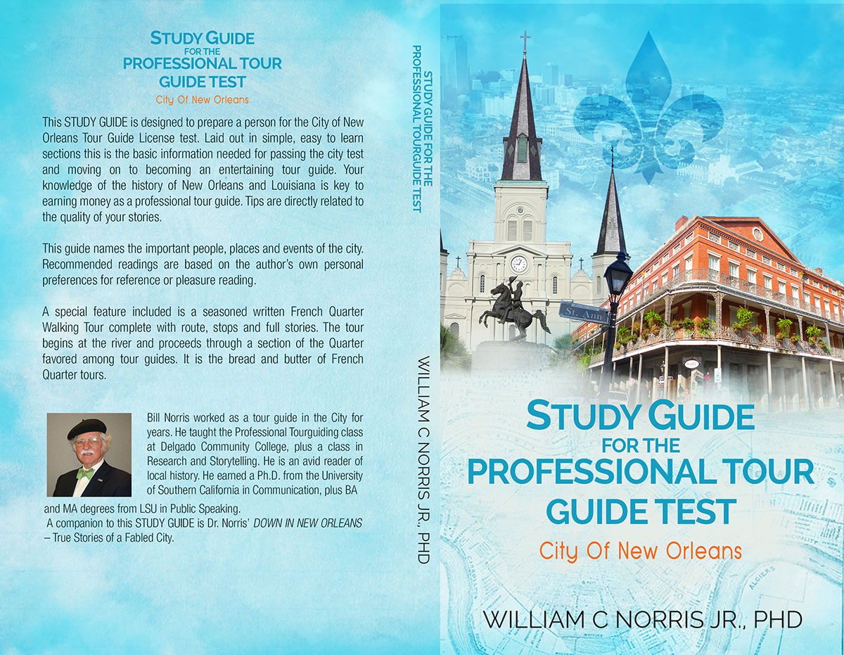 Diseño de portada de libro por jshan para este proyecto | Diseño #13109513